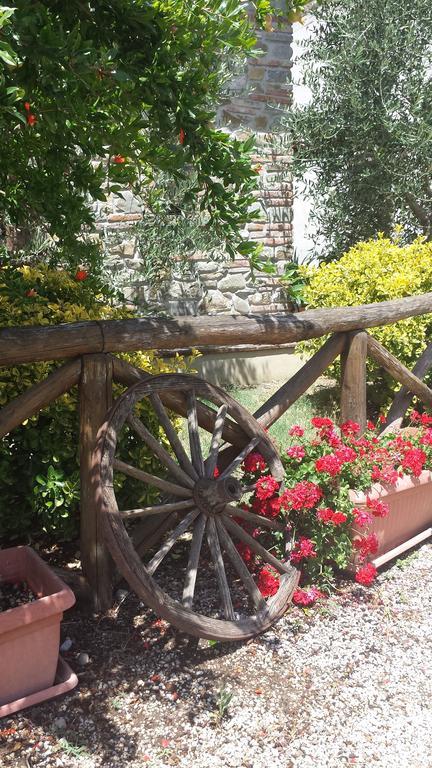 Agriturismo Le Baccane Вінчі Екстер'єр фото